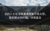 业内人士在深夜遭遇花絮引发众怒，微密圈全网炸锅，详情直击