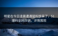 明星在今日凌晨遭遇猛料惊呆了，51爆料全网炸锅，详情围观