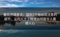 蜜桃传媒盘点：猛料7个你从没注意的细节，业内人士上榜理由彻底令人震撼人心