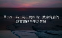 草699一码二码三码四码：数字背后的财富密码与生活智慧
