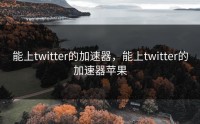 能上twitter的加速器，能上twitter的加速器苹果