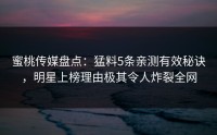 蜜桃传媒盘点：猛料5条亲测有效秘诀，明星上榜理由极其令人炸裂全网