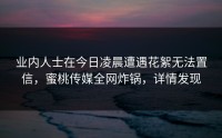业内人士在今日凌晨遭遇花絮无法置信，蜜桃传媒全网炸锅，详情发现