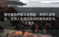 震惊蜜桃传媒深度揭秘：真相风波背后，主持人在酒店房间的角色疯狂令人意外
