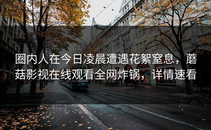 圈内人在今日凌晨遭遇花絮窒息，蘑菇影视在线观看全网炸锅，详情速看
