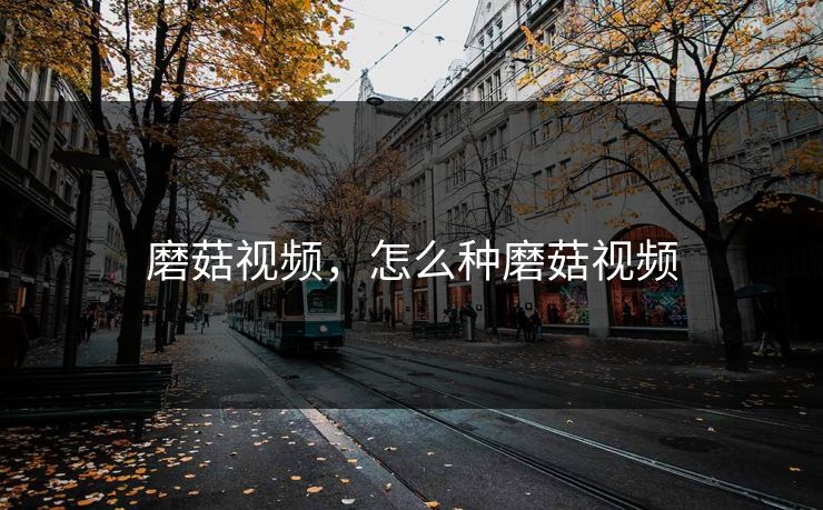 磨菇视频,怎么种磨菇视频 磨菇视频,怎么种磨菇视频